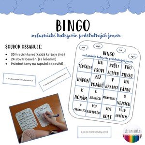 Bingo podstatná jména