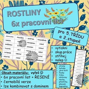 Rostliny 6x pracovní list