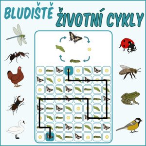 Životní cykly