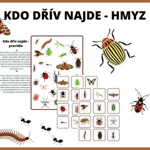 Kdo dřív najde HMYZ