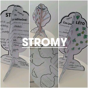 STROMY