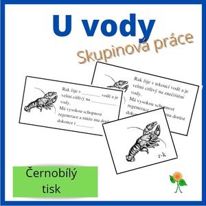 Zvířata u vody