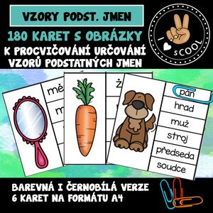 Vzory podstatných jmen