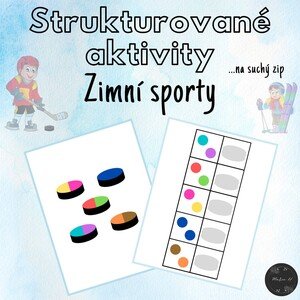 Zimní sporty, strukturované aktivity