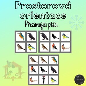 Přezimující ptáci, prostorová orientace
