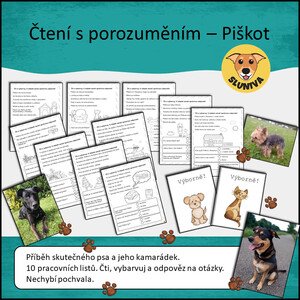 Čtení s porozuměním — PIŠKOT — Sluniva