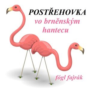 Postřehovka vo brněnským hantecu