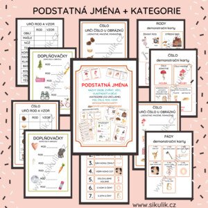 PODSTATNÁ JMÉNA + KATEGORIE (CO URČUJEME) PÁD, ČÍSLO, ROD, VZOR