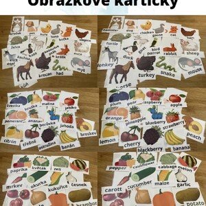 Obrázkové kartičky