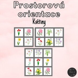 Květiny, prostorová orientace