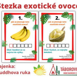 Stezka - exotické ovoce