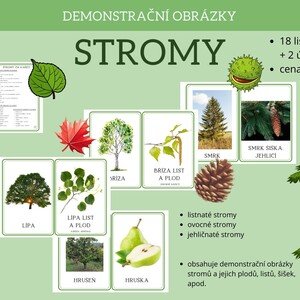 STROMY - demonstrační obrázky