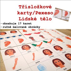 Třísložkové karty/Pexeso - Lidské tělo
