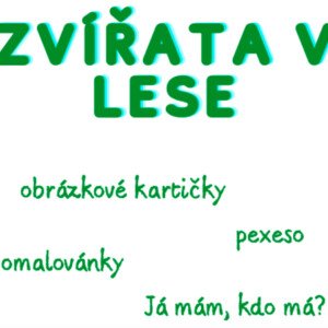 Zvířata v lese