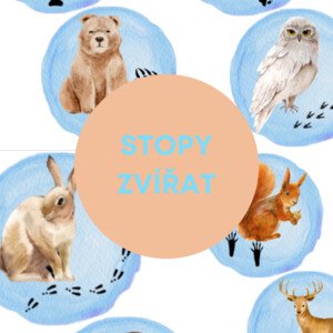 Stopy zvířat