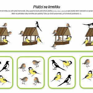 5+1 ptačích aktivit do škol(l)y i na doma (3-7 let)