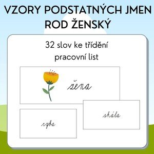 Vzory podstatných jmen - rod ženský