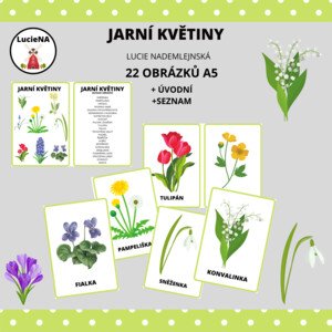 Jarní květiny (obrázky)
