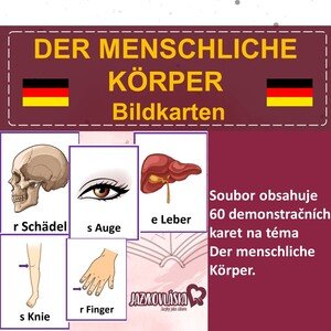 Der menschliche Körper Bildkarten
