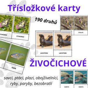 Živočichové - Třísložkové karty: velký set (190 druhů živočichů)