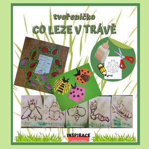 🐞 Tvořeníčko - CO LEZE V TRÁVĚ 🪲