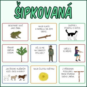 Šipkovaná