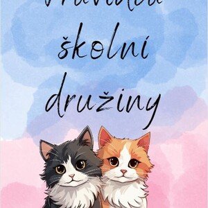 Pravidla školní družiny