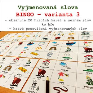 Bingo - Vyjmenovaná slova 3