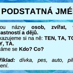 Slovní druhy + Přehledová karta
