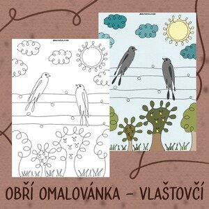 Obří jednotažková omalovánka - Vlaštovčí