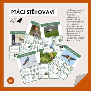 Ptáci stěhovaví