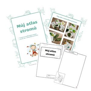 Atlas stromů