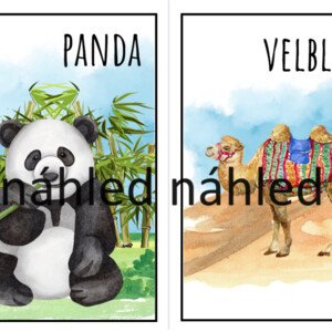 Exotická zvířátka, zvířátka ze ZOO, učební pomůcka, obrázkový materiál na tabuli, kolíčkování