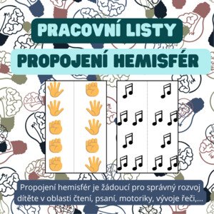 Propojení hemisfér 1 