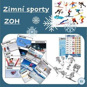 Zimní sporty