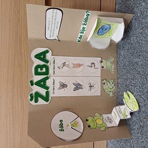 Můj první lapbook - žába 