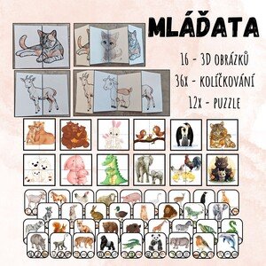 Mláďata - zvířata (kolíčkování, 3D obrázky a další)