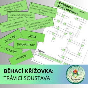 Běhací křížovka: trávicí soustava