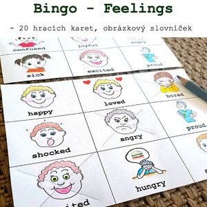 Feelings - Bingo