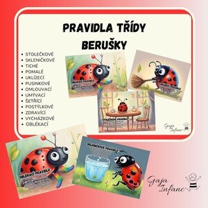 Pravidla třídy- berušky