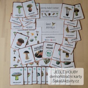  HOUBY - JEDLÉ - demonstrační karty 