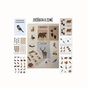 Zvířata v zimě