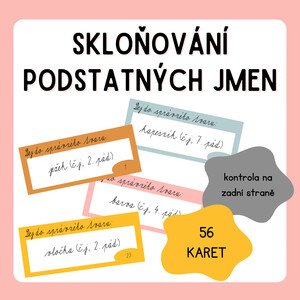 Kartičky - skloňování podstatných jmen podle pádů