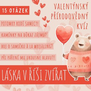 LÁSKA V ŘÍŠI ZVÍŘAT - valentýnský přírodovědný kvíz