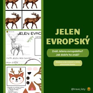 Jelen evropský