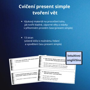 Cvičení present simple - tvoření vět