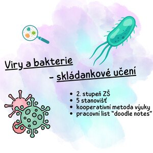 Viry a bakterie - skládankové učení