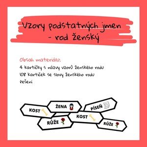 VZORY PODSTATNÝCH JMEN - rod ženský