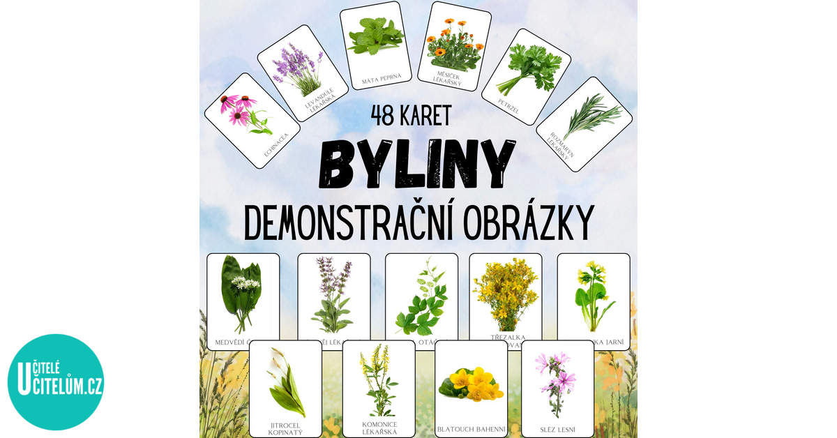 Lecive Byliny Obrazky (Popis Výskyt, doporučení výrobce, doporučení výrobce nebo, dorůstá výšky, horké vody) Lecive Byliny Obrazky