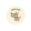 DAŠA svět